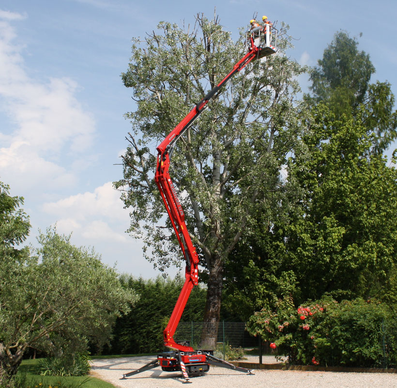 Piattaforme aeree e macchine su cingoli per giardinieri